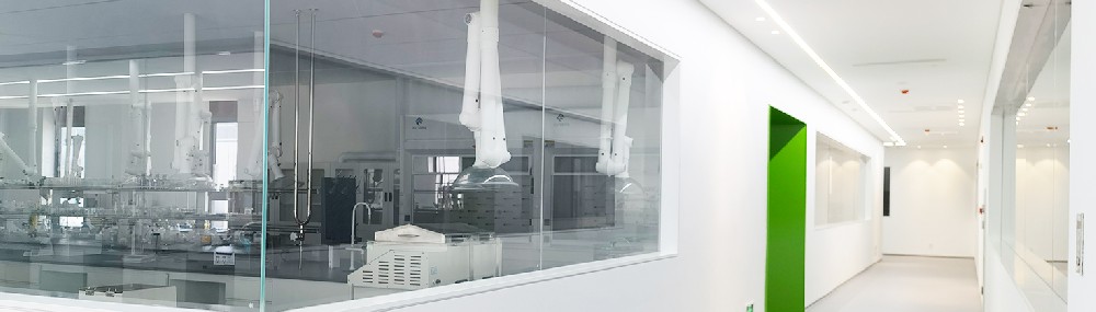 hb火博药业：栉风沐雨十二载 员工踔厉奋发共前进